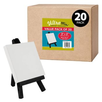Box of 20 Ultra-Mini White Canvas 3x3" w/ Black Easel Set