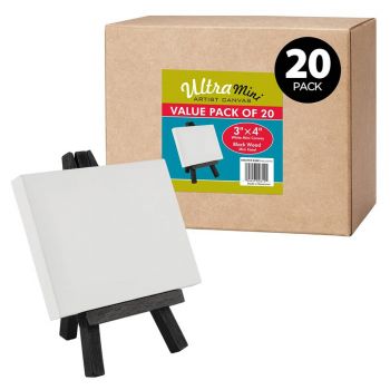 Box of 20 Ultra-Mini White Canvas 3x4" w/ Black Easel Set