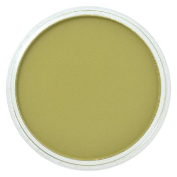 PanPastel™ Artists' Pastels - Bright Yellow Green Shade, 9ml