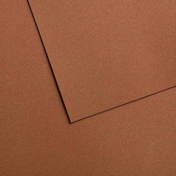 Canson Mi-Teintes Velvet Paper - 605/Brown, 19.69" x 25.6" (Pack of 10)