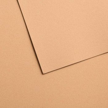 Golden Beige, 19.69" x 25.6" (Pack of 10)