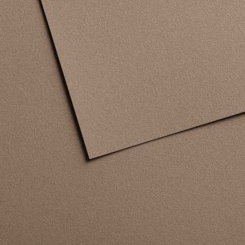 Grey Brown, 19.69" x 25.6" (Pack of 10)