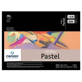 Mi-Teintes Pastel Pad	12X16 In	Assorted Colors