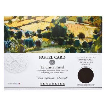 Sennelier La Carte Pochette 11.8"x15.75" - 6 Pack, Charcoal