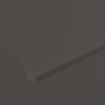 Canson Mi-Teintes Sheet - 184/Charcoal Grey, 19" x 25" (Pack of 10)