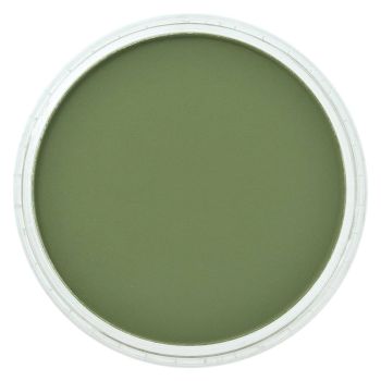 PanPastel™ 9 ml Compact - Chrome Oxide Green Shade