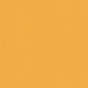 Crescent Select Matboard 32x40" 4 Ply - Curry