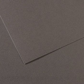 Dark Gray/345 Canson Mi-Teintes Sheet 19" x 25" (Pack of 10)