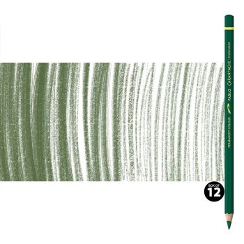 Caran d'Ache Pablo Pencils Set of 12 No. 229 - Dark Green