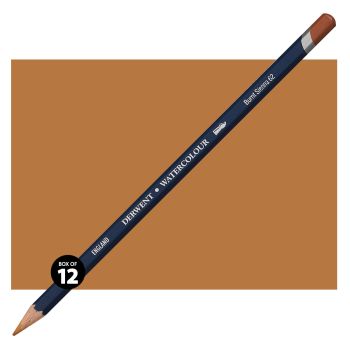 Derwent Watercolor Pencil Box of 12 No. 62 - Burnt Sienna