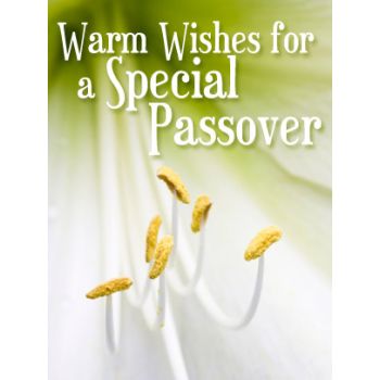 Passover Art eGift Card - Flower - electronic gift card eGift Card