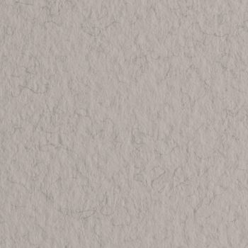 Fabriano Tiziano Sheets (10-Pack) - Felt Grey, 20"x26"
