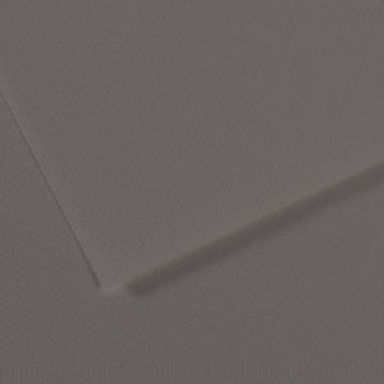 Canson Mi-Teintes Paper 10pk 19x25 in #185 Graphite