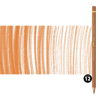 Caran d'Ache Pablo Pencils Set of 12 No. 053 - Hazel