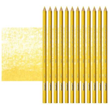 Prismacolor Premier Colored Pencils Set of 12 PC1012 - Jasmine