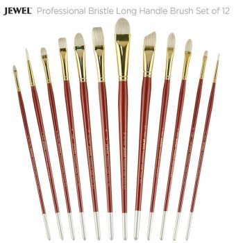 Jewel Professional Bristle Long Handle Brush Set of 12