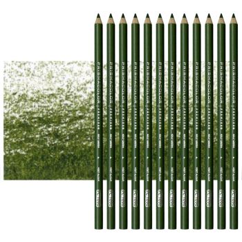 Prismacolor Premier Colored Pencils Set of 12 PC1090 - Kelp Green