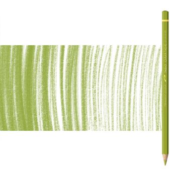 Caran d'Ache Pablo Pencils Individual No. 016 - Khaki Green