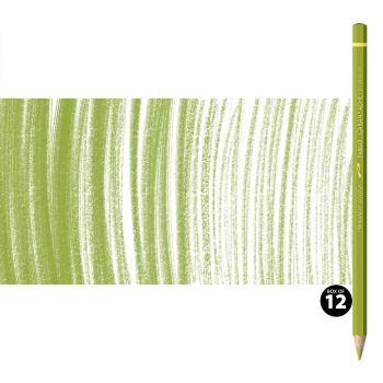 Caran d'Ache Pablo Pencils Set of 12 No. 016 - Khaki Green