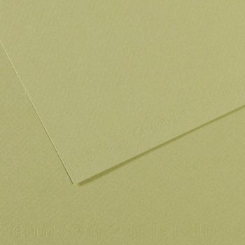 Light Green/480 Canson Mi-Teintes Sheet 19" x 25" (Pack of 10)
