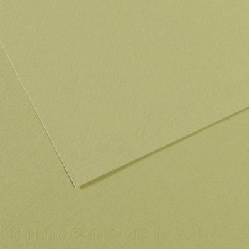 Light Green/480 Canson Mi-Teintes Sheet 19" x 25" (Pack of 10)