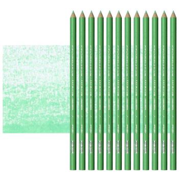 Prismacolor Premier Colored Pencils Set of 12 PC920 - Light Green