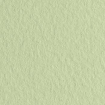 Fabriano Tiziano Sheets (10-Pack) - Light Green, 20"x26"