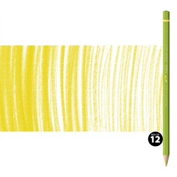 Caran d'Ache Pablo Pencils Set of 12 No. 245 - Light Olive