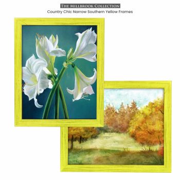 Southern Yellow Frames