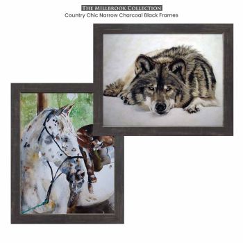 Charcoal Black Frames