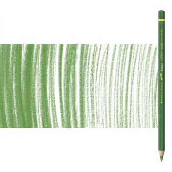 Caran d'Ache Pablo Pencils Individual No. 225 - Moss Green