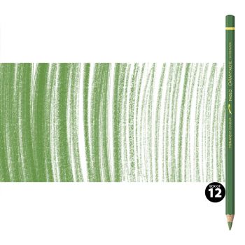 Caran d'Ache Pablo Pencils Set of 12 No. 225 - Moss Green