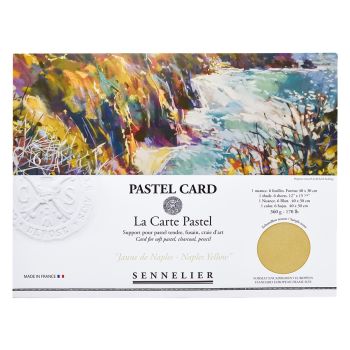 Sennelier La Carte Pochette 11.8"x15.75" - 6 Pack, Naples Yellow