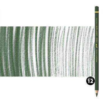 Caran d'Ache Pablo Pencils Set of 12 No. 019 - Olive Black