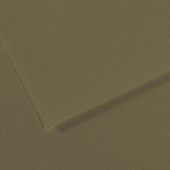 Canson Mi-Teintes Sheet - 191/Olive Green, 19" x 25" (Pack of 10)