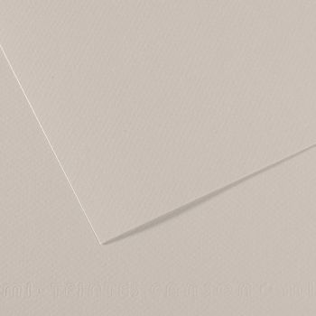 Pearl Gray/120 Canson Mi-Teintes Sheet 19" x 25" (Pack of 10)