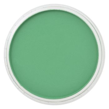 PanPastel™ 9 ml Compact - Permanent Green