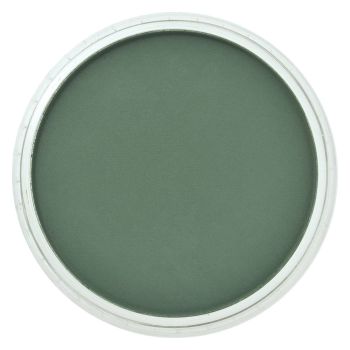 PanPastel™ 9 ml Compact - Permanent Green Extra Dark
