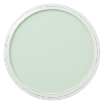 PanPastel™ 9 ml Compact - Permanent Green Tint