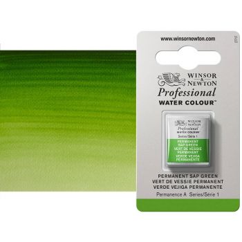 Winsor & Newton Professional Watercolor Half Pan - Permanent Sap Green