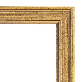 Imperial Frames Piccadilly Collection Gold 5x5