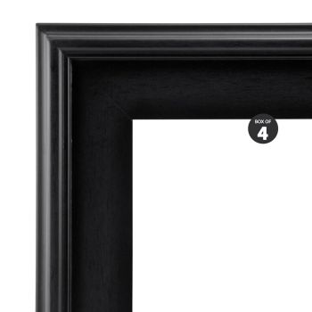 Plein Air Frame Box of 4 24x30" - Black
