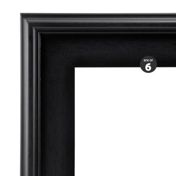 Plein Air Frame Box of 6 12x24" - Black