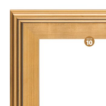 Plein Air Frame Box of 10 9x12" - Gold