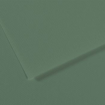Sage Green #190 Canson Mi-Teintes Paper 10pk 19x25 in 