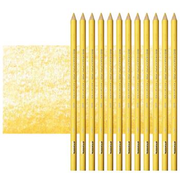 Prismacolor Premier Colored Pencils Set of 12 PC940 - Sand