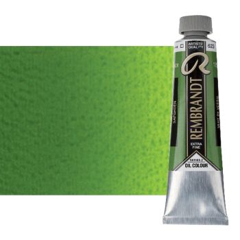 Rembrandt Extra-Fine Artists' Oil - Sap Green, 40ml Tube