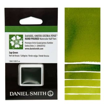 Daniel Smith Watercolor Half Pan Sap Green