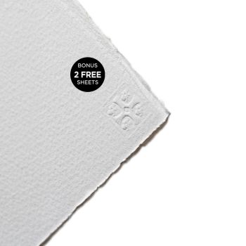 Waterford Watercolor Paper 140lb Cold Press 22” x 30” - Buy 8 Get 2 Free Sheets (Pack of 10)