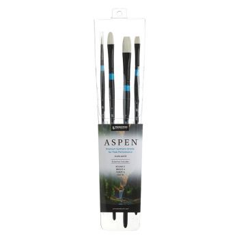 Aspen 4 piece Professional Brush Set